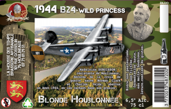 1944 B24 Wild Princess